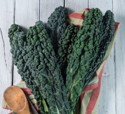 Kale Nero Di Toscana